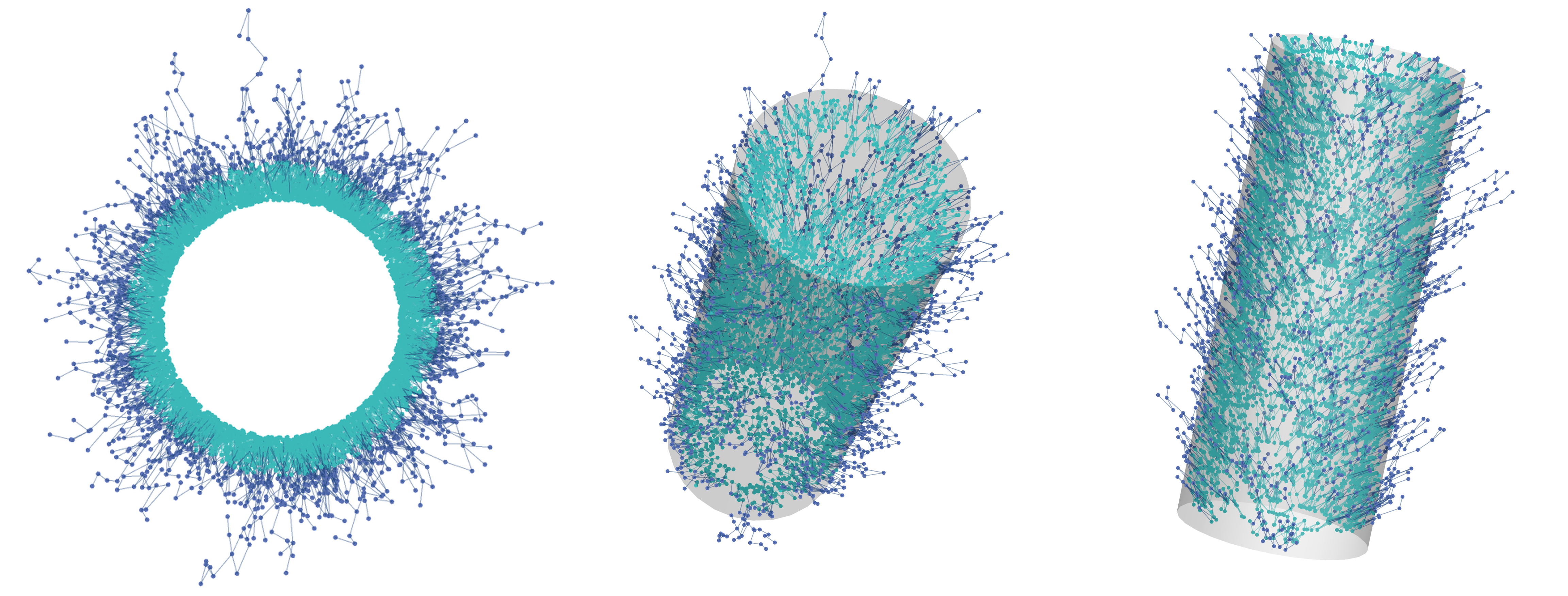 Black Hole Entanglement Entropy from Causal Graphs