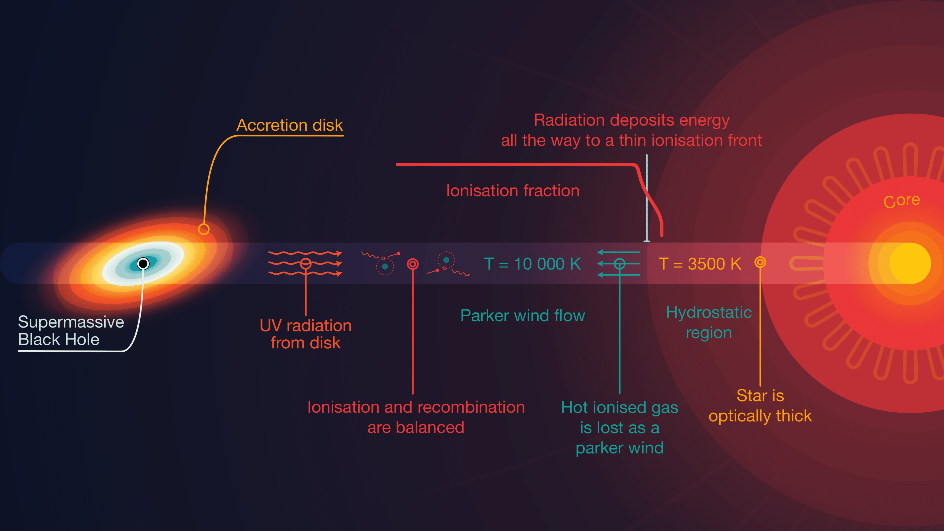 Shining Light on Missing Red Giants: Red Giant Photoevaporation in the Galactic Centre